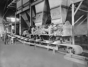 Men operating sacking machines, Portland Cemet Company, Mason City, Iowa. ca.  between 1910 and 1920