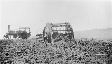 Tractor in a field in the Hawaiian Islands ca.  between 1910 and 1920