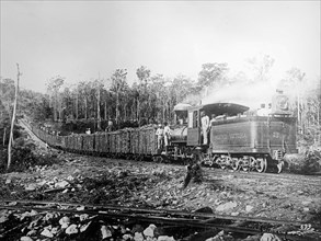 Trainload of sugar cane, Cuba ca.  between 1910 and 1935