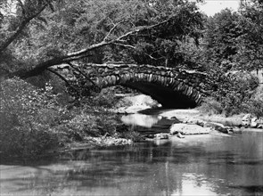 Stone bridge, Rock Creek Park, [Washington, D.C.] ca.  between 1910 and 1935