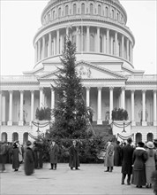 Community Christmas tree in front of the U.S. Capitol, Washington, D.C.] ca.  between 1910 and 1925