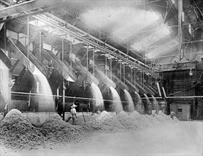 Delivering Bagasse to fire-room. Workers inside a raw sugar mill. Hawaiian Islands ca.  between 1910 and 1920