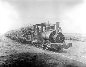 Trainload of Sugar Cane en route to the factory Peru ca.  between 1910 and 1935