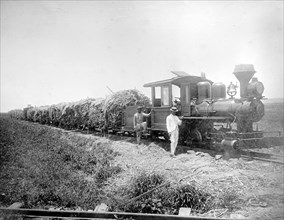 Puerto Rico, West Indies, Central Constancia, Toa-Bajo, P.R. (Train hauling what looks to be sugar cane) ca.  between 1910 and 1920