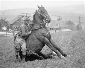 U.S. Army horse stunts, B Troop, 15th U.S. Cavalry, Frostburg, Md. ca. 1909