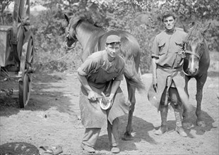U.S. Army, a soldier shoeing a horse ca. between 1909 and 1940