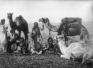 Bedouins? in the Arabian desert with their camels ca. between 1909 and 1919