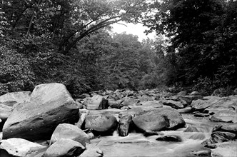 Rapids in Rock Creek Park ca. between 1909 and 1919