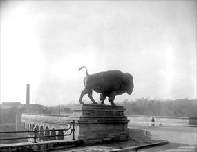 Q Street Bridge, Buffalo statue, [Washington, D.C.] ca. between 1909 and 1940