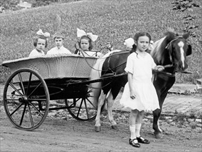 Three children in a pony cab ca. between 1909 and 1919