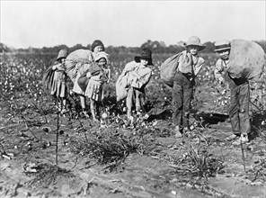 Children cotton pickers holding bags of cotton ca. between 1909 and 1932