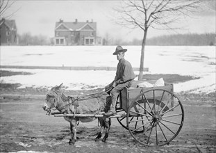 U.S. Army soldier, goat & cart ca. between 1909 and 1940