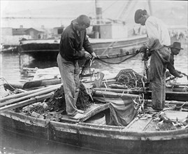 Men sardine fishing, Gulf of Trieste ca. between 1909 and 1920
