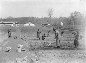 National Women's Defense League Camp. Women working in the War Gardens ca. between 1909 and 1940