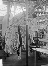 A woman working at the Tolman Laundry, Washington. D.C. ca. between 1909 and 1923