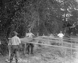 Men working with their nets for shad fishing on the Potomac ca. between 1909 and 1932