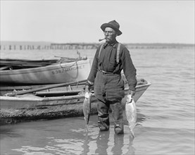 Man shad fishing on the Potomac, holding two fish ca. between 1909 and 1932