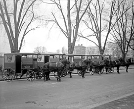 Chevy Chase Dairy, horse drawn milk carts, ca.  between 1918 and 1928