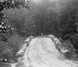 Man riding a horse in Rock Creek Park ca.  between 1918 and 1920