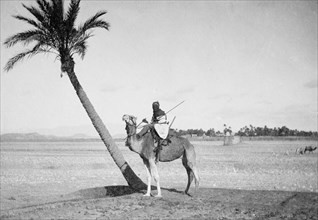 A Sahara traveler riding on a camel ca.  between 1918 and 1928