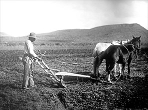 Salt River Project, [Arizona] Sacator Indian Reservation, farmer plowing a field ca.  between 1918 and 1928