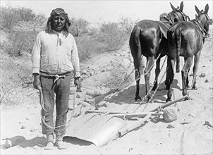 Salt River Project, [Arizona], Cushong, Indian laborer with team of horses ca.  between 1918 and 1928