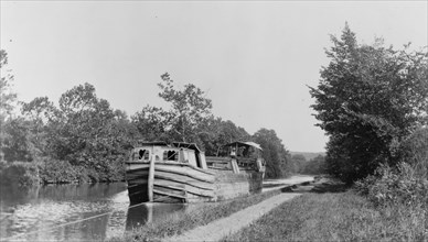 Boat being towed along the Chesapeake & Ohio Canal ca. [between 1909 and 1932]