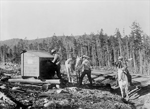Forest officers traveling by horse leaving tool box for firefighting, Arapaho National Forest ca. 1909