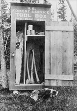 Routt National Forest, Colorado. U.S. Forest Service shed showing tools and canned food inside ca. 1909
