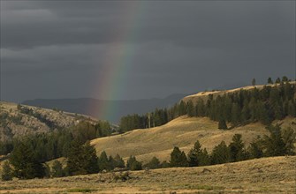 End of rainbow as it comes down into a valley Rainbow at Junction Butte in Yellowstone National Park; Date: 22 July 2015