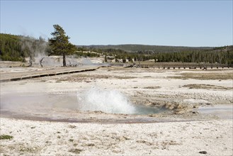 East Mustard Spring, Biscuit Basin in Yellowstone National Park; Date:  28 April 2015