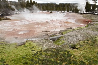 Fountain Paint Pot in winter in Yellowstone National Park; Date: 12 February 2015