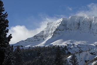 Close up of  snowcovered Amphitheater Mountain in Yellowstone National park as seen from Silver Gate Montana; Date:  15 February 2013