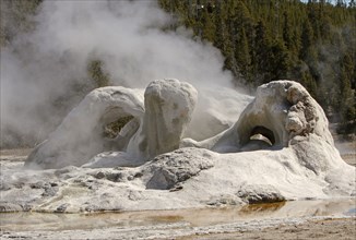 Grotto Geyser in Upper Geyser Basin in Yellowstone National Park; Date: 20 March 2015