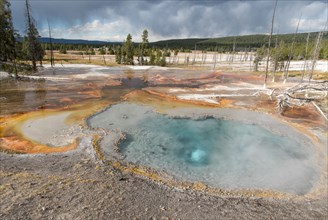 Firehole Spring in the Lower Geyser Basin in Yellowstone National Park; Date: 8 September 2016