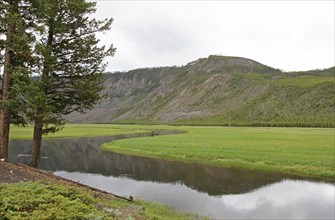 Madison River along the West Entrance Road in Yellowstone National Park; Date: 17 June 2014