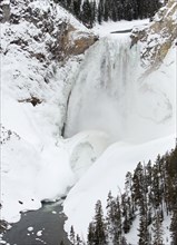 Lower Falls of the Yellowstone in Yellowstone National Park; Date: 3 February 2015