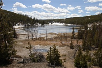 Nymph Lake in spring in Yellowstone National Park; Date: 11 April 2013