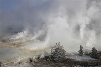 Porcelain Basin on a cold November day in Yellowstone National Park; Date: 22 November 2013
