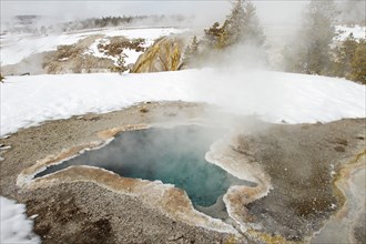Blue Star Spring in the Upper Geyser Basin in Yellowstone National Park; Date: 7 January 2015