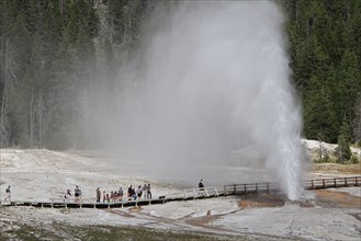 Park visitors watching Beehive Geyser in Yellowstone National Park; Date: 22 July 2015