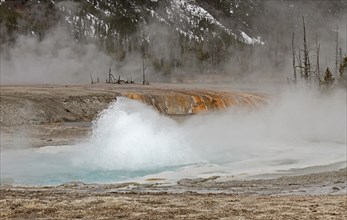 Spouter Geyser in Black Sand Basin in Yellowstone National Park; Date: 6 April 2015