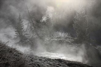 Obsidian Creek with frost and steam in Yellowstone National Park; Date: 25 October 2013