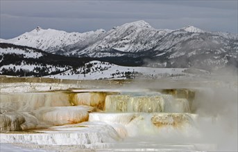 Canary Spring at Mammoth Hot Springs in Yellowstone National Park; Date: 7 February 2013