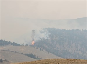 Buffalo Fire near Slough Creek in Yellowstone National Park; Date: 30 August 2016