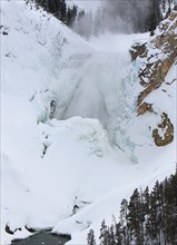 Lower Falls of the Yellowstone in Yellowstone National Park; Date: 25 February 2014