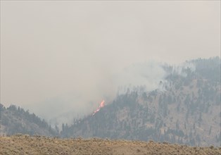 Buffalo Fire near Slough Creek in Yellowstone National Park; Date: 30 August 2016