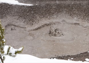 Mudpot in Mud Volcano area in Yellowstone National Park; Date: 3 February 2015
