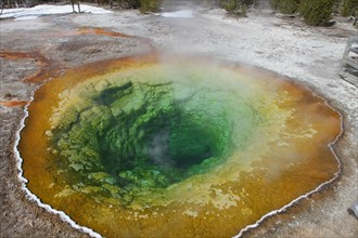 Morning Glory Pool in Yellowstone National Park; Date: 20 March 2015