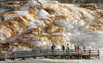 Palette Spring at Mammoth Hot Springs in Yellowstone National Park; Date: 30 June 2015